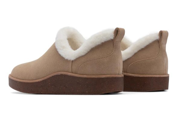 Vividvector.shop36846f2deb 5