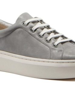 Vividvector.shop373d3b8b6a 1