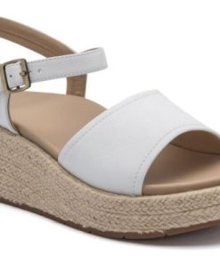 Vividvector.shop374618b0c0 1