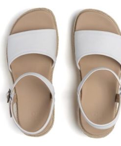 Vividvector.shop374618b0c0 2