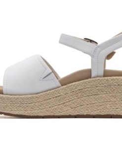 Vividvector.shop374618b0c0 4