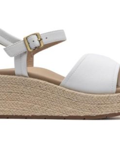 Vividvector.shop374618b0c0 5