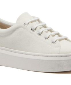 Vividvector.shop389e0f2564 1