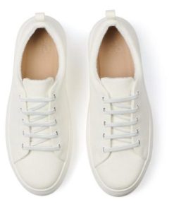 Vividvector.shop389e0f2564 2