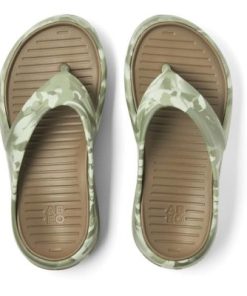 Vividvector.shop3ac3ebb934 2