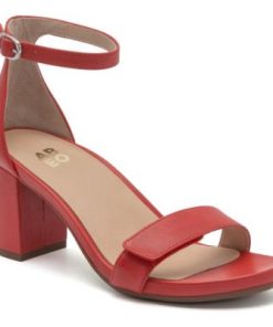 Vividvector.shop3f7344f880 1