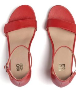 Vividvector.shop3f7344f880 2