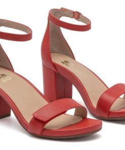 Vividvector.shop3f7344f880 5