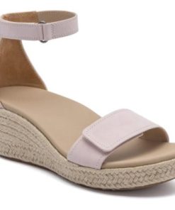 Vividvector.shop437e68bb6a 1