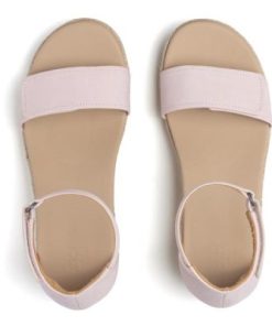 Vividvector.shop437e68bb6a 2