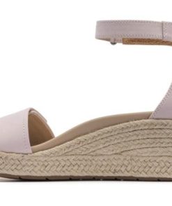 Vividvector.shop437e68bb6a 4