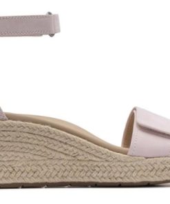 Vividvector.shop437e68bb6a 5