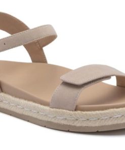 Vividvector.shop45aaa3e22e 1