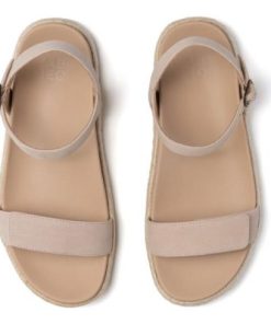 Vividvector.shop45aaa3e22e 2