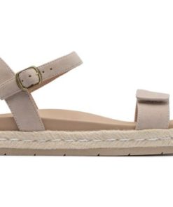 Vividvector.shop45aaa3e22e 5