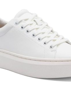 Vividvector.shop462ac653d4 1