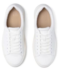 Vividvector.shop462ac653d4 2