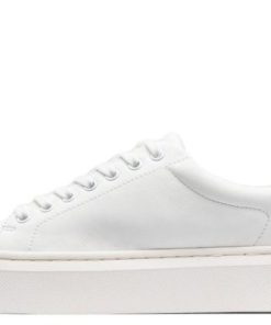 Vividvector.shop462ac653d4 4