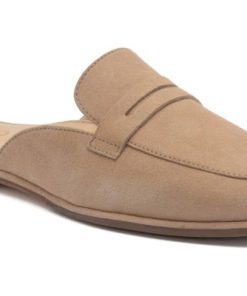 Vividvector.shop4787f98861 1