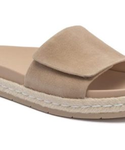 Vividvector.shop480597e7b7 1