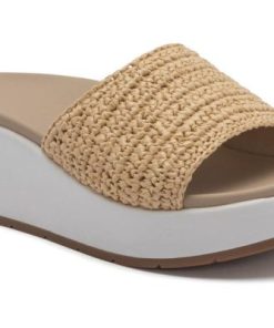 Vividvector.shop4a95a8a07a 1