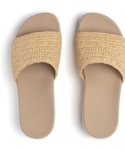 Vividvector.shop4a95a8a07a 2