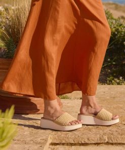 Vividvector.shop4a95a8a07a 3