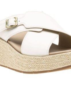 Vividvector.shop4d1415ba81 1