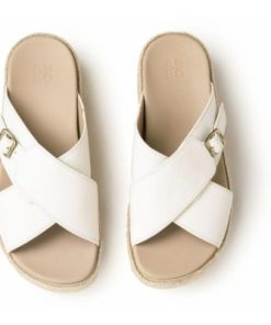 Vividvector.shop4d1415ba81 2