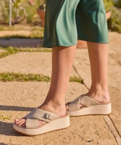 Vividvector.shop4d1415ba81 3