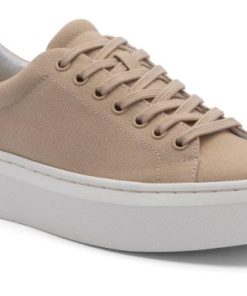 Vividvector.shop4da2726176 1