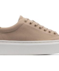 Vividvector.shop4da2726176 5