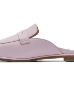 Vividvector.shop4eaf6235f5 4