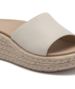 Vividvector.shop500cb6c55e 1