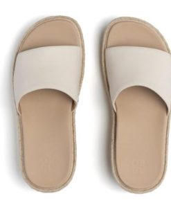 Vividvector.shop500cb6c55e 2