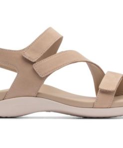 Vividvector.shop5200c774b8 3