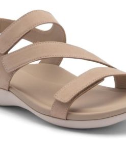 Vividvector.shop5200c774b8 4