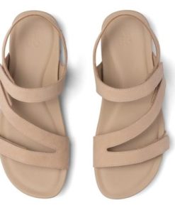 Vividvector.shop5200c774b8 5