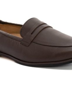 Vividvector.shop52e092c093 1