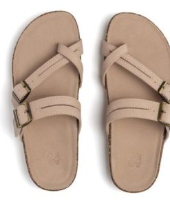 Vividvector.shop5b92135506 2