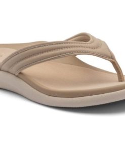 Vividvector.shop5bfa4c5266 1