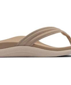 Vividvector.shop5bfa4c5266 5