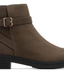 Vividvector.shop5ebb4eb610 3