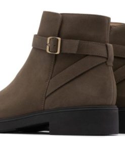 Vividvector.shop5ebb4eb610 5