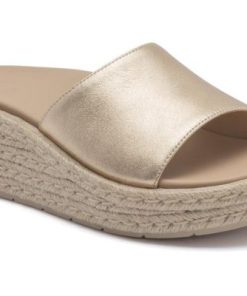 Vividvector.shop6092cab0af 1