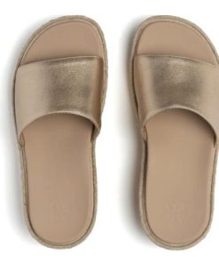 Vividvector.shop6092cab0af 2