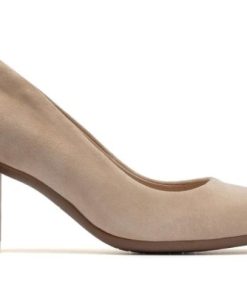 Vividvector.shop65de181422 5