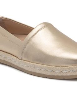 Vividvector.shop6e6203c02d 1