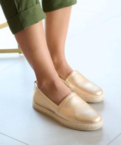 Vividvector.shop6e6203c02d 3