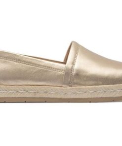 Vividvector.shop6e6203c02d 4